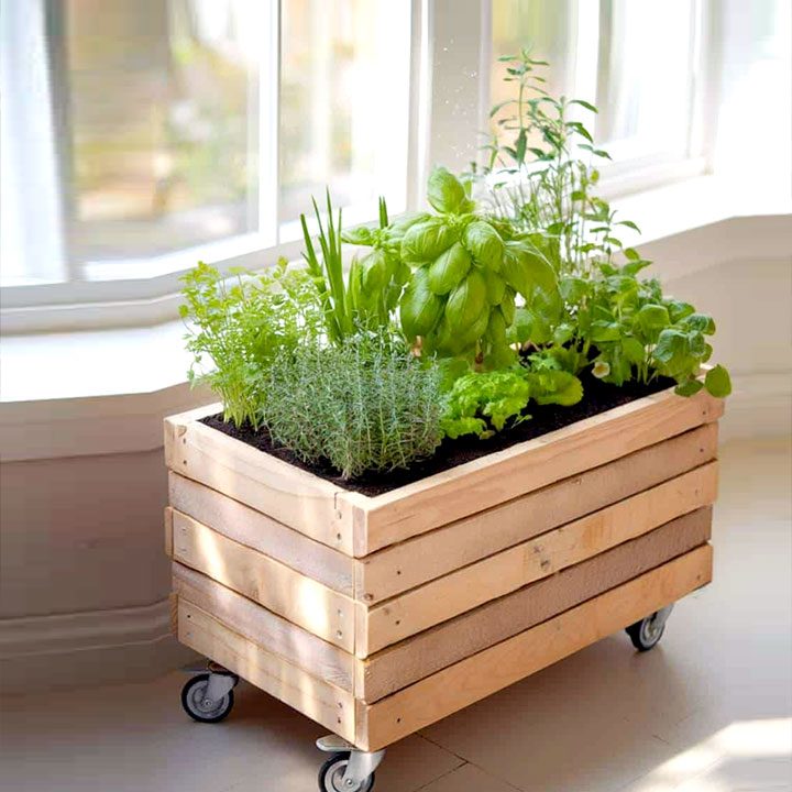 planter